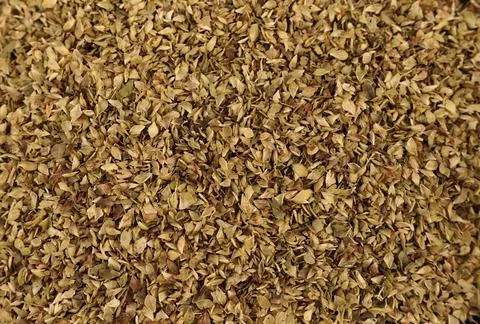 Origano Stock Photos
