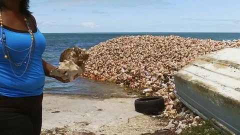 Original Bahama Mama Holding Conch Shell at Conch Shell Palace, Grand Bahama Stock Footage 108506655