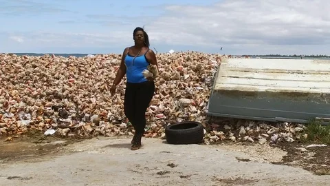 Original Bahama Mama Holding Conch Shell at Conch Shell Palace, Grand Bahama Stock Footage 108506779