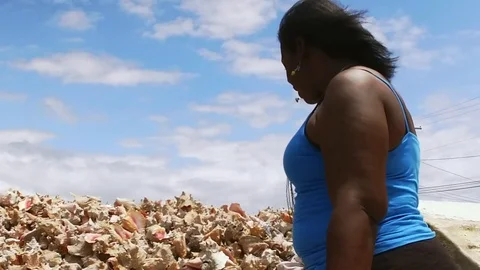 Original Bahama Mama Holding Conch Shell at Conch Shell Palace, Grand Bahama Stock Footage 108507261