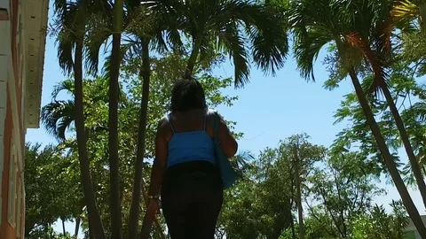 The Original Bahama Mama Walking Through Green Trees Forest, OBB, Bahamas Stock Footage 108628295