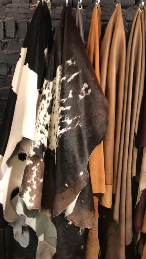 Original cow skins on hooks Stock Footage 169143584