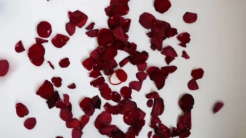 Original declaration of love and proposal to get married. Stock Footage 119829423