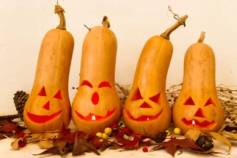 Original decorations with long neck pumpkins halloween Stock Photos