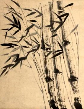 Original drawing of bamboo Stock Illustration