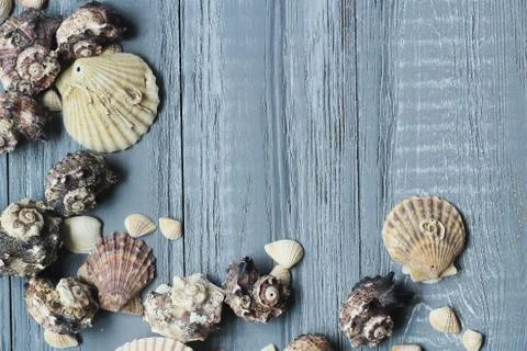 Original a frame for the text of the seashells on blue wooden background Stock Photos