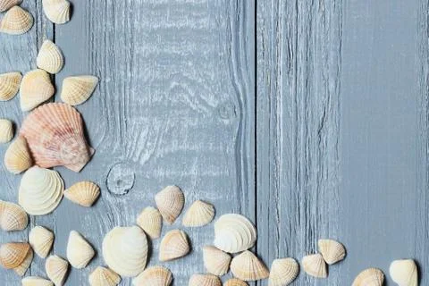 Original a frame for the text of the seashells on blue wooden background Stock Photos