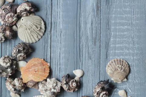 Original a frame for the text of the seashells on blue wooden background Stock Photos