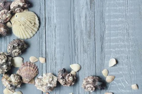 Original a frame for the text of the seashells on blue wooden background Stock Photos