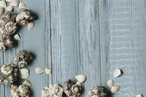 Original a frame for the text of the seashells on blue wooden background Stock Photos