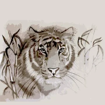 Original handdrawn tiger Illustrazione stock