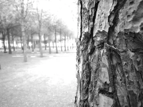 Original Nature Views Stock-Fotos