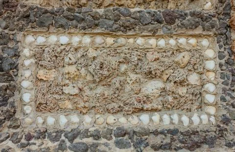 Original rectangle of seashells and marine sponges on a stone wall Stock-Fotos