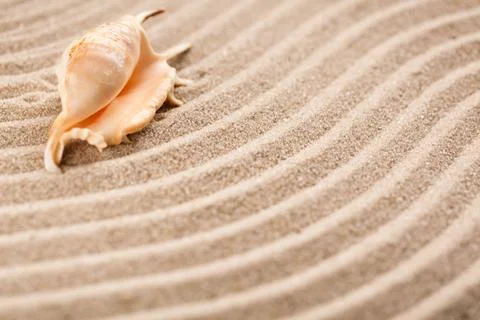 The original seashell is in the upper right corner. Wavy sand texture. Place  스톡 사진