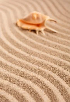 The original seashell is in the upper right corner. Wavy sand texture. Place for Stock Photos
