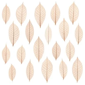 Original transparent leaf pattern Foto stock