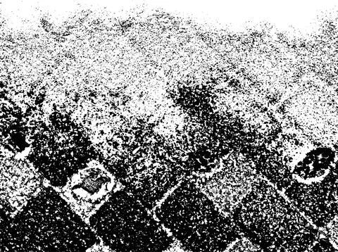 Original vector grunge texture of paving slabs covered with kitten paws Stock-Illustration