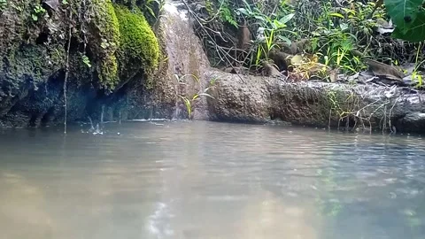 Original video pure mountain spring Stock Footage 244333267