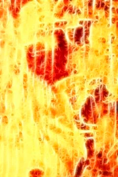 Original wicker pattern Stock Photos