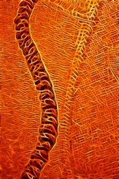 Original wicker pattern Stock Photos
