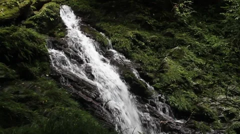 The original woods waterfall Stock Footage 41649800