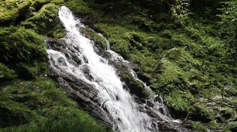 The original woods waterfall Stock Footage 41650105