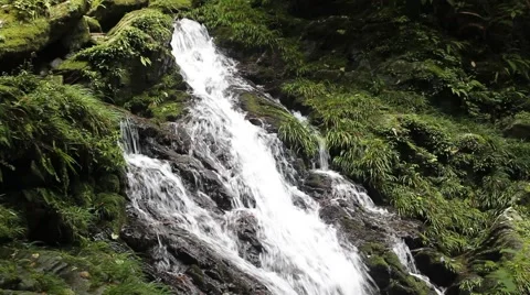 The original woods waterfall Stock Footage 41652495