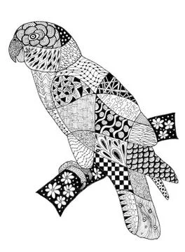 Original zentangles drawing of a parrot. Stock Illustration