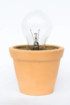 Originality flower pot Stockfoto's