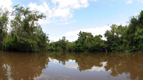 Orinoco river. Venezuela 스톡 동영상 33689533