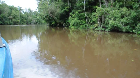 Orinoco river. Venezuela 스톡 동영상 33689672