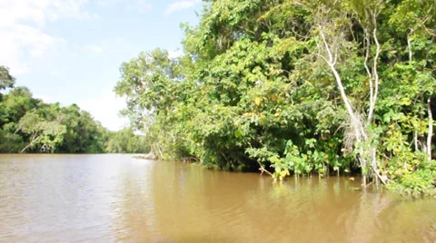 Orinoco river. Venezuela 스톡 동영상 33689867
