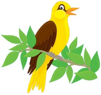 Oriole Stock Illustration