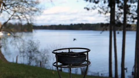Oriole lands at grape feeder to gulp down jelly. Video stock 123446141