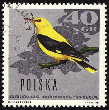 Oriole on post stamp Stock Photos