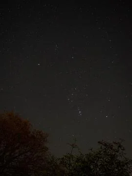 Orion Constellation Stock Photos