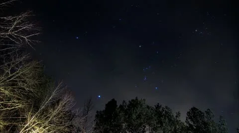 Orion star time lapse looking through trees  Video stock 22322522