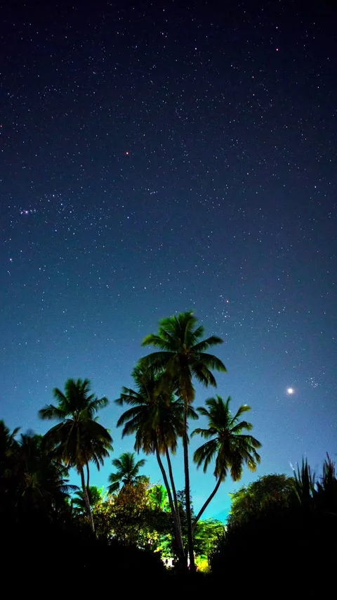 Orion &amp; Venus Set Behind Mountain – Magical Village Timelapse Stock Footage 313559217