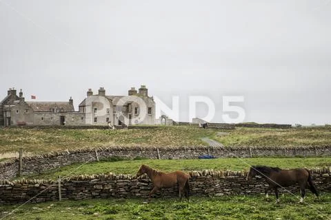 Orkney coastline house with horses Skara Brae Stock Photos