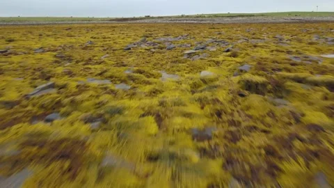Orkney moor Stock Footage 219810262