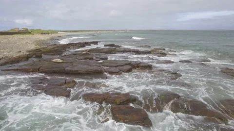 Orkneys Seals Stock Footage 176297323