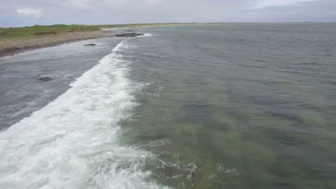 Orkneys Seals Video stock 176299165