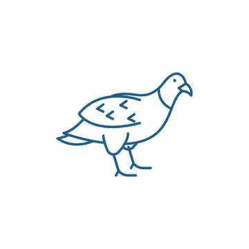 Orlan line icon concept. Orlan flat  vector symbol, sign, outline illustration. 스톡 일러스트