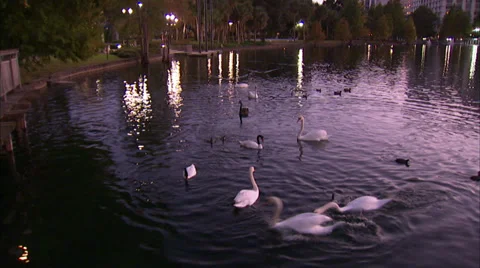 Orlando, Florida Stock Footage 32402145