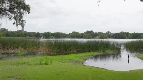 Orlando Lake Davis 7 Stock Footage 276995319