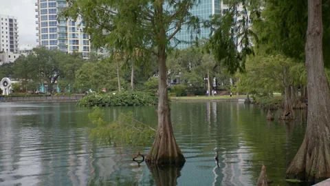 Orlando Lake Eola 3 Stock Footage 276996388