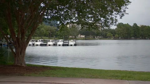 Orlando Lake Eola 7 Stock Footage 276996452