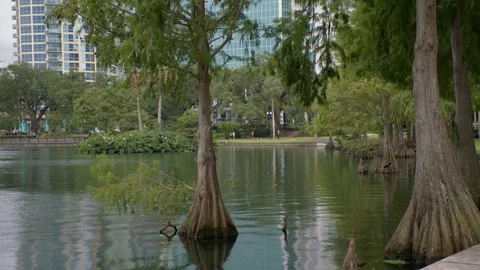 Orlando Lake Eola 8 Stock Footage 276996509