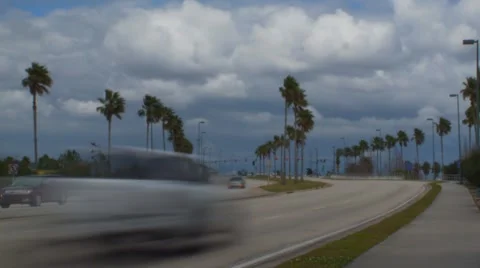 Orlando Palms Stock Footage 934604