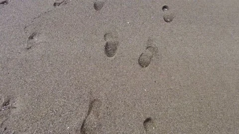 Orme spiaggia Video stock 165292236